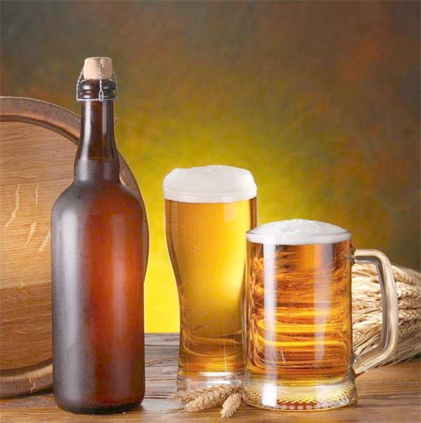 啤酒设备制造商共享啤酒酵母的分类结构