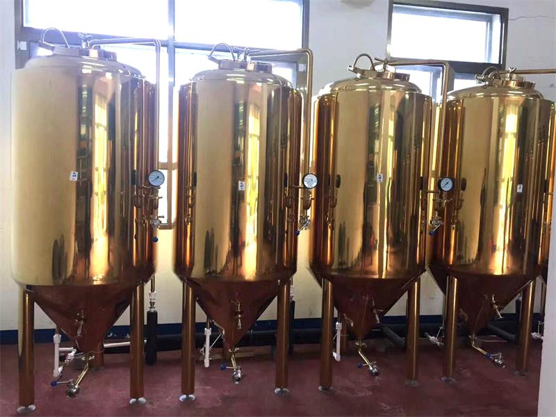 精酿啤酒设备500L钛金发酵罐